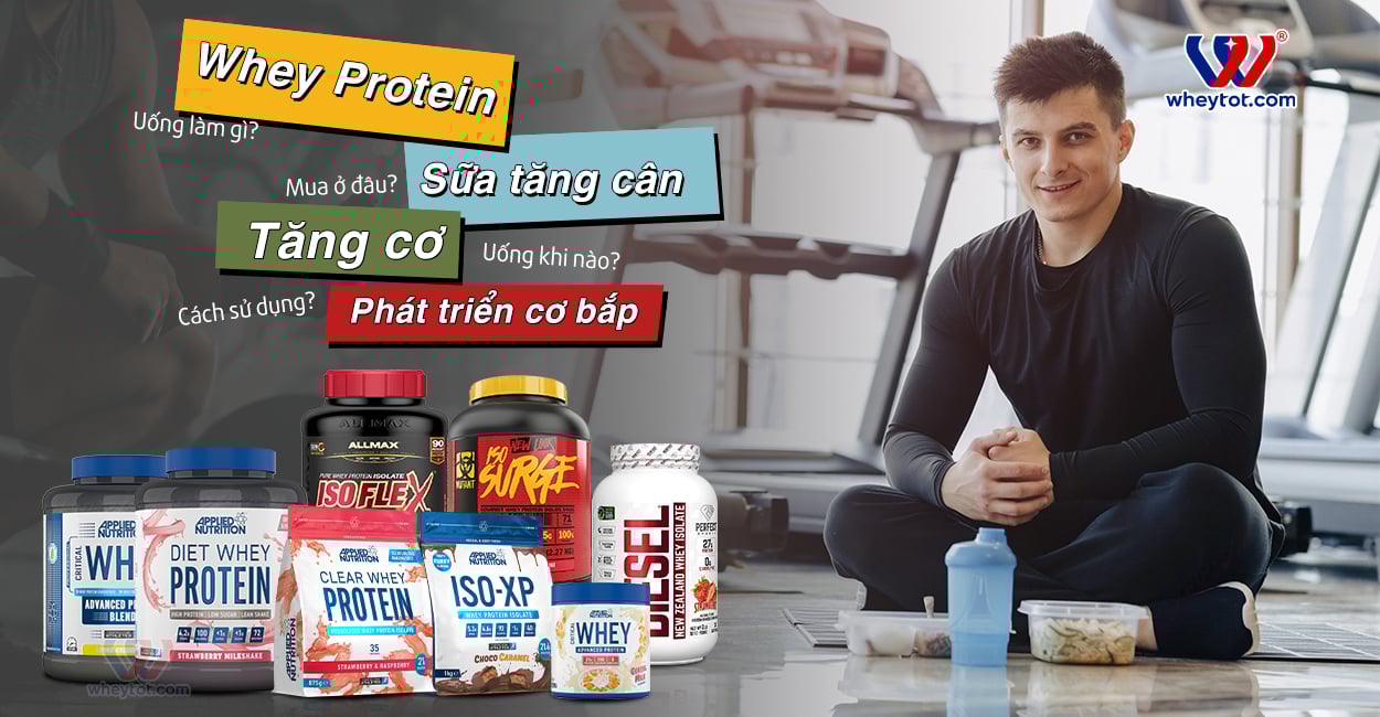 Whey Protein Isolate - Bổ sung protein tinh khiết, hấp thu nhanh, chính hãng