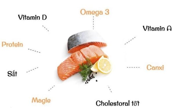 Cá hồi giàu dinh dưỡng tốt cho sức khỏe