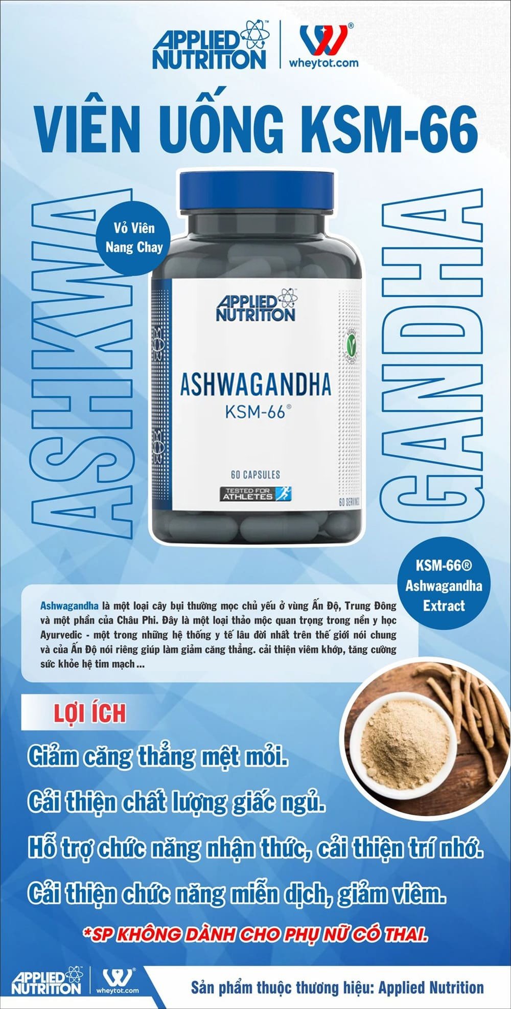 Applied Nutrition ASHWAGANDHA 60 Viên (60 Servings) | Nhân Sâm Ấn Độ