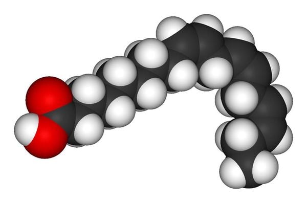 Axit linoleic (LA) là một loại axit béo không bão hòa đa thuộc nhóm omega 6