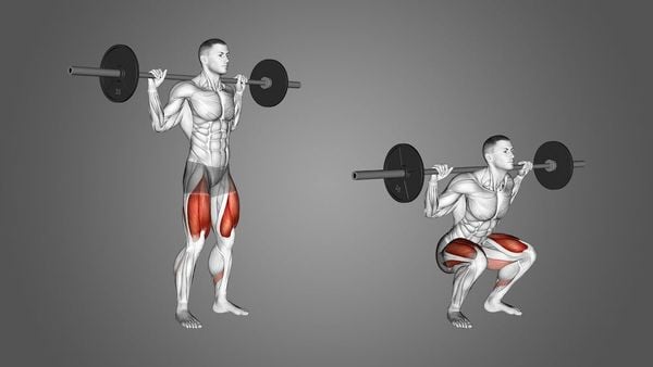 Barbell Squat - Bài tập chân hiệu quả cấp tốc