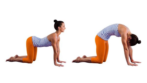 Bài tập Cat-Cow Stretch giúp mở rộng cột sống và giảm đau mỏi vai gáy