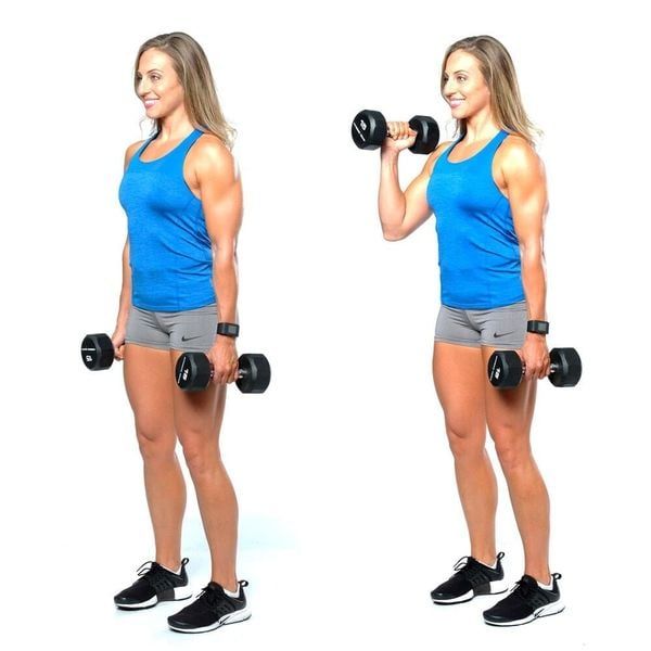 Bài tập tạ tay Hammer Curls phát triển phần thân trên cho nữ