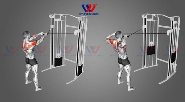 Bài tập vai Cable Face Pull