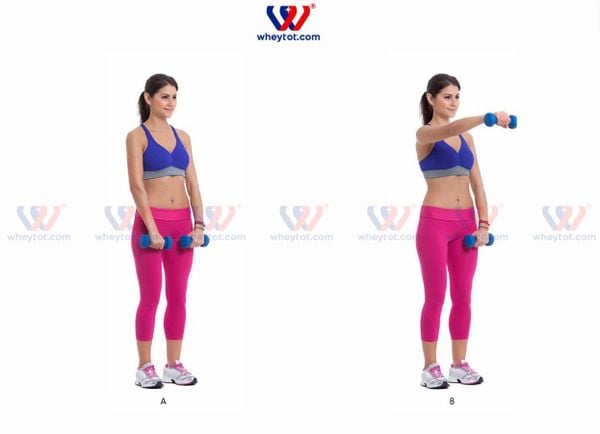 Bài tập vai Dumbbell Front Raise