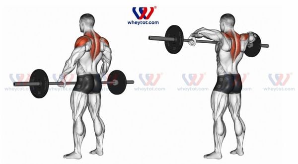 Bài tập vai Cable Lateral Raise