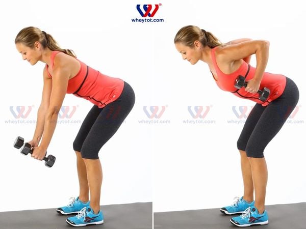 Bài tập gập người nâng tạ đơn (Bent Over Row)