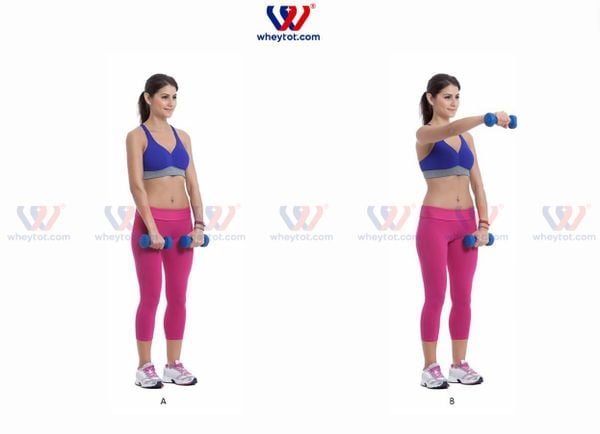 Bài tập nâng tạ đơn từng tay tập vai