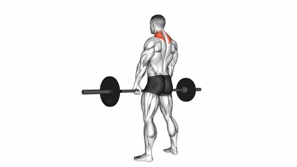 Barbell Shrug là một bài tập trọng tâm phát triển cơ cầu vai