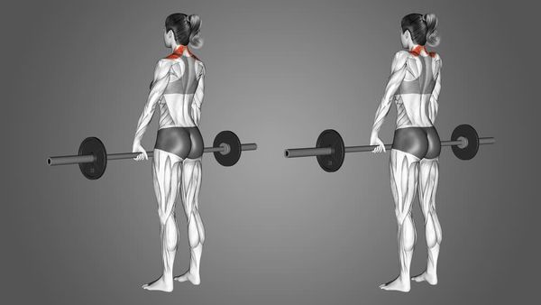 Barbell Shrug là bài tập kích hoạt và phát triển cơ thang hiệu quả