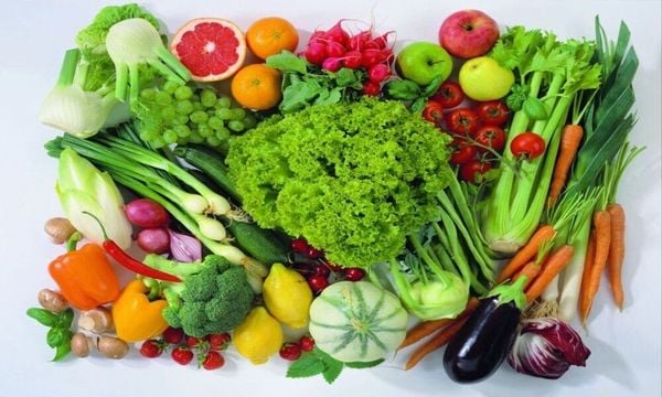 Vitamin và khoáng chất đóng vai trò thiết yếu trong quá trình trao đổi chất