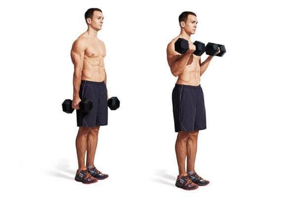 Dumbbell Curl giúp tăng khả năng uốn cong của khuỷu tay