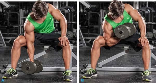 Các biến thể của bài tập Dumbbell Curl