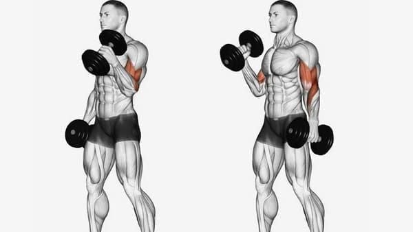Lưu ý các sai lầm khi tập Dumbbell Curl