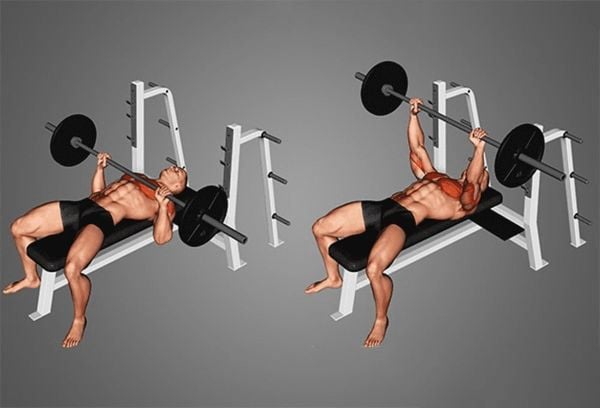 Cách tập gym tăng cân bằng bài tập nằm ghế đẩy tạ đòn
