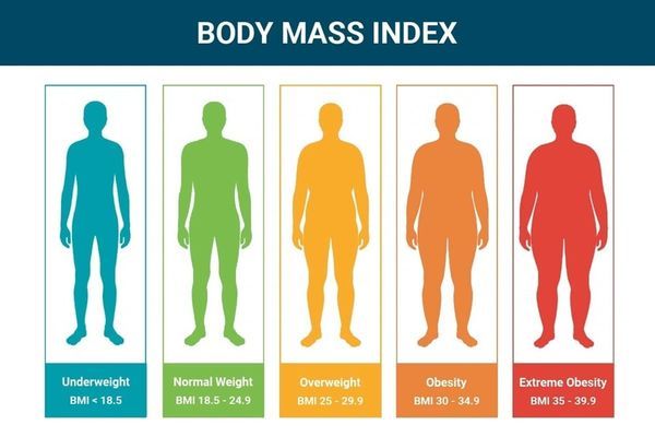 BMI cho biết tình trạng cân nặng, chiều cao của người trưởng thành