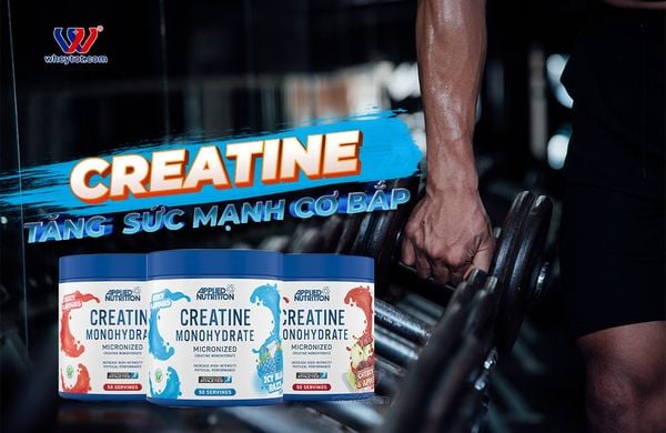 Mua creatine chính hãng giá tốt