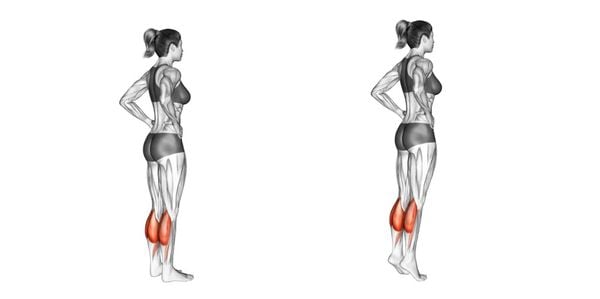 Calf Raise giúp kích thích phát triển cơ bắp chân