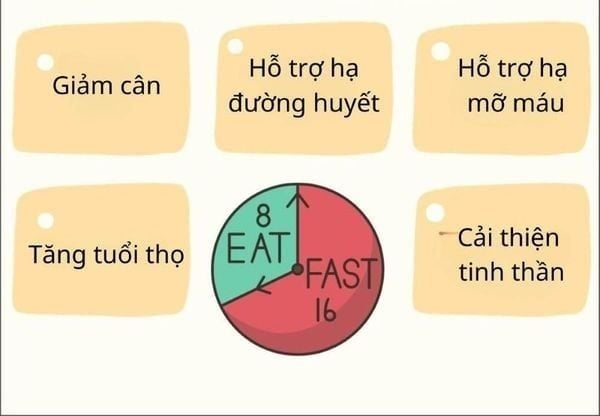 Lợi ích của chế độ ăn 16/8