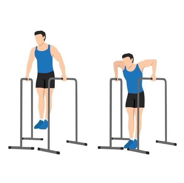 Bài tập nhún xà kép Parallel Bar Dip