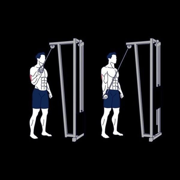 Bài tập kéo cáp 1 tay Cable One Arm Tricep