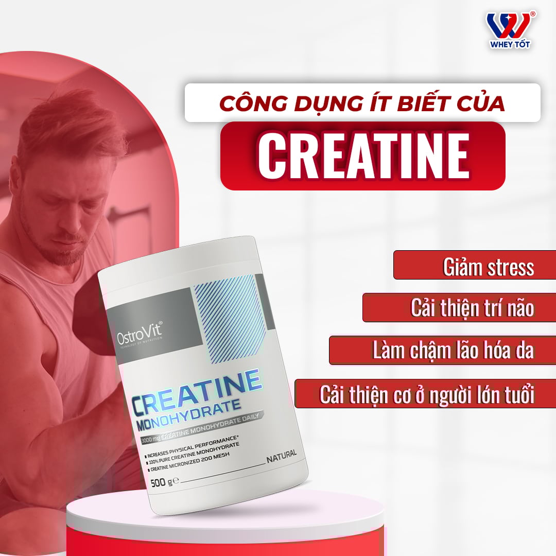 Bột tăng sức mạnh Ostrovit Creatine Monohydrate 500g