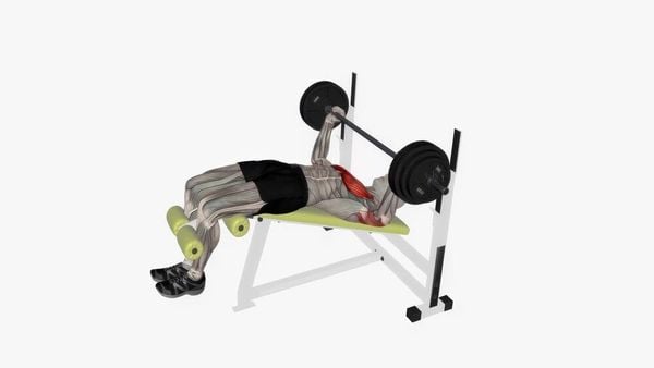Decline Bench Press là bài đẩy tạ với ghế được điều chỉnh nghiêng xuống