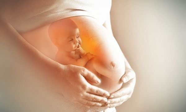 dha tốt cho trí não trẻ ngay từ trong bụng mẹ