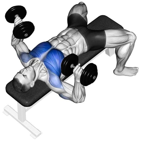 Dumbbell Bench Press là bài tập nằm đẩy tạ tay trên ghế phẳng