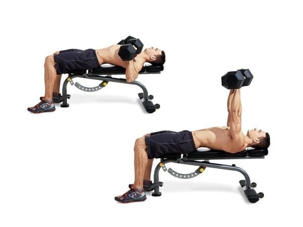 Hướng dẫn tập Dumbbell Bench Press đúng cách