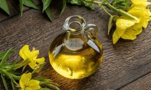 Tinh dầu hoa anh thảo có nhiều lợi ích sức khỏe