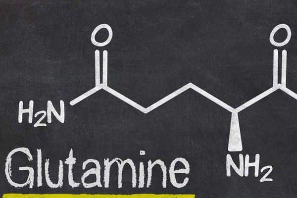 Glutamine là một axit amin dồi dào trong máu và cơ bắp