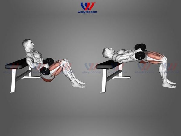 Tập Dumbbell Hip Thrust