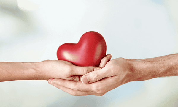 Tinh dầu hoa anh thảo giúp cải thiện sức khỏe tim mạch