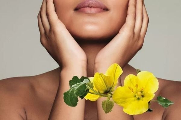 Tinh dầu hoa anh thảo giúp bảo vệ và làm đẹp da