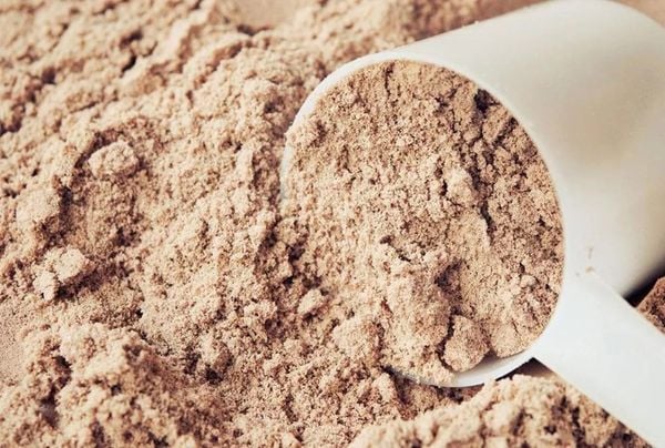 whey protein là gì? Không tập gym có nên uống whey