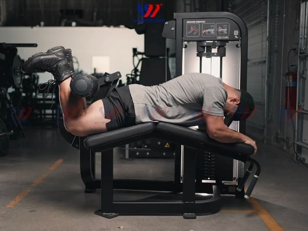 Leg Curl là bài tập tác động vào nhóm cơ đùi sau