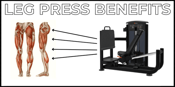 Lợi ích khi tập Leg Press