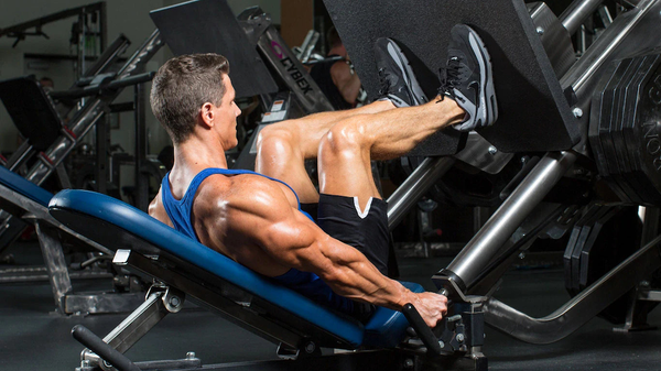 Cách tập Leg Press