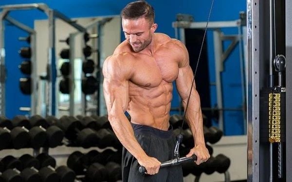 chia lịch tập gym cho từng nhóm cơ hợp lý
