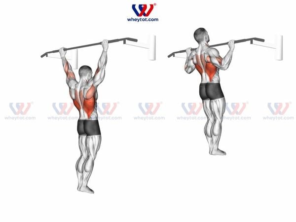 Bài tập xô cho nam - Pull up