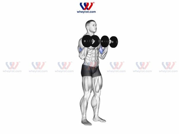 : Bài tập cẳng tay với tạ đơn Reverse Curl