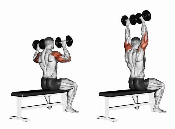 Bài tập đẩy tạ đơn tăng cơ vai
