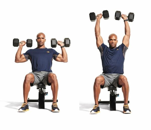 Các bài tập gym theo nhóm cơ cho người mới bắt đầu