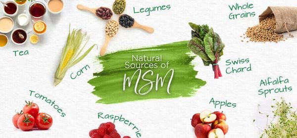 Bổ sung đủ MSM hỗ trựo tăng cường sức khỏe toàn diện