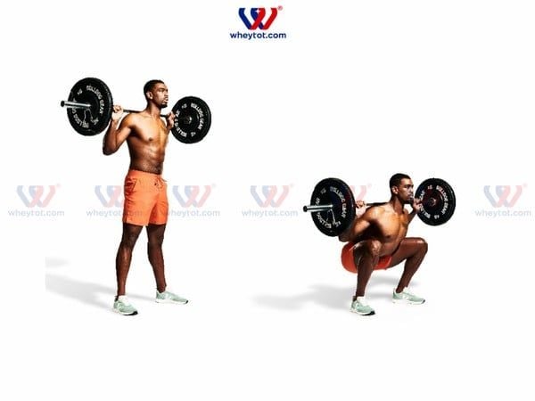 Bài tập nâng hông - Hip Thrust cho nam