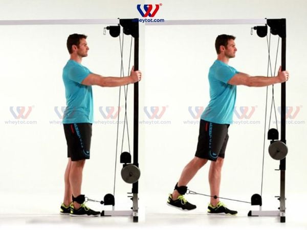 : Bài tập đá chân sau với cáp giúp cơ mông ăn chắc