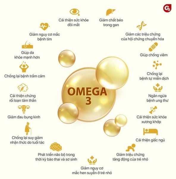 Omega-3 là một loại chất béo thiết yếu mà cơ thể chúng ta không tự sản xuất được, do đó cần phải bổ sung qua chế độ ăn uống hoặc viên uống.