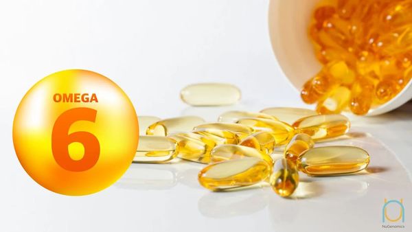 Omega 6 là nhóm axit béo thiết yếu đối với cơ thể