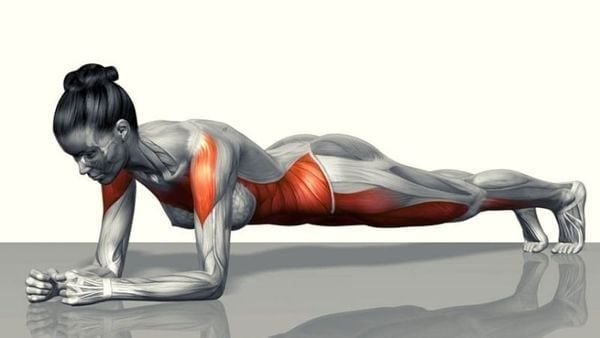 Tập plank giúp đốt cháy mỡ thừa và duy trì vóc dáng